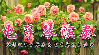 電子琴DJ純音樂 🔥 电子琴经典老歌名曲 电子琴经典老歌纯 🥰 电子琴100首好听歌曲 ♥ 情路弯弯  酒醉的蝴蝶  爱人跟人走 😍 2小時沉浸在最好的台灣古典音樂中，度過一個輕鬆的早晨 [upl. by Eisenstark915]