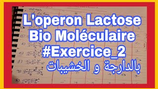 La biologie moléculaire exercice 2 série 2 Loperon lactose darija les cas dexpressions des lacs [upl. by Gnoix151]