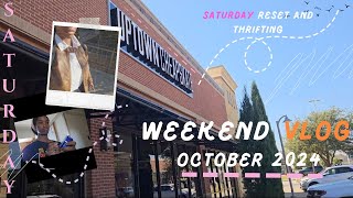 Weekend Vlog Saturday Reset  Thrifting We also saw a bird in Ross [upl. by Wyatt]