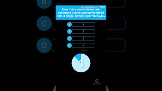 How many spermatozoa are generated during spermatogenesis from a single spermatogonium [upl. by Lyrahc]