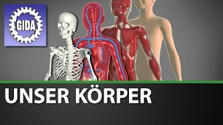 Trailer  Unser Körper  Sachunterricht  Schulfilm [upl. by Ysset]