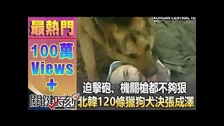 迫擊砲、機關槍都不夠狠 北韓120條獵狗「犬決」張成澤！10212134 [upl. by Nahamas]