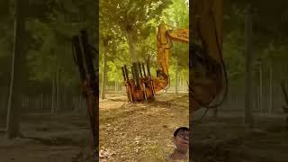 automobile tree excavator wood firewood cat satisfying robot toys funny [upl. by Annot]