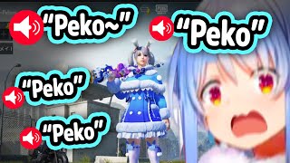 Pekoras Teammates Spam quotPekoquot Voice Over VoiceChat【Hololive】 [upl. by Yerffeg517]