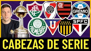 ⚽️🏆 LIBERTADORES y SUDAMERICANA 2024 Clasificados y Bolilleros ⚽️🏆 [upl. by Yauqaj]