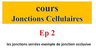 cours jonctions cellulaires Ep2  les jonctions serrées exemple de jonction occlusive [upl. by Furr]