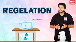 Regelation  Basic Concept Of Physics [upl. by Frolick471]