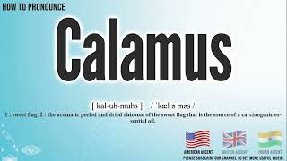 Calamus Pronunciation  How to Pronounce say Calamus CORRECTLY  Meaning Definition [upl. by Conrade]