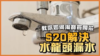 水龍頭漏水？淘寶20買水芯指南大公開！｜更換水芯購買指南｜水龍頭滴水｜關不緊｜閥芯｜TOTO ROCA TLM家居維修101｜Today Learn More 不學無術｜居家DIY水喉潔具班 [upl. by Nanyk]