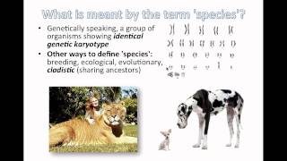 Species and Speciation IB Biology [upl. by Eyks]