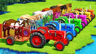 TRANSPORTING HORSES WITH URSUS COLORED TRACTORS amp MERCEDES TRUCKS  Farming Simulator 22 [upl. by Towny159]