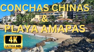 CONCHAS CHINAS amp PLAYA AMAPAS HIKE puertovallarta mexico beach [upl. by Sedgewake]