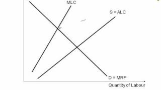 Animated diagram showing monopsony labour market [upl. by Nnaitak635]