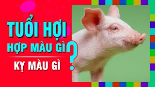 TUỔI HỢI Hợp MÀU GÌ Kỵ Màu Nào Nhất Chọn Màu Sắc Đúng Phong Thủy Để Đón May Mắn [upl. by Miharba]