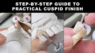 StepByStep Guide to Practical Cuspid Finish [upl. by Euqinoj578]