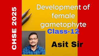 Development of Female gametophyte  Class 12  CHSE 2025 asitbotany2107 [upl. by Wohlen]