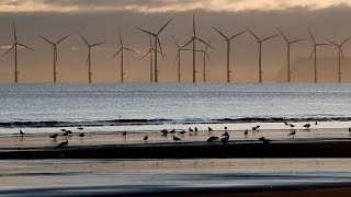 En Suède le gouvernement retoque 13 projets de parcs éoliens offshore [upl. by Timms]