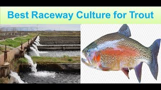 Best Raceway Aquaculture System Rainbow Trout Raceway System [upl. by Akenihs]