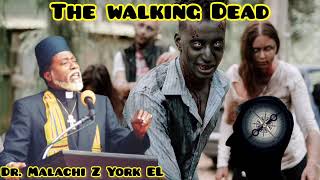 Dr Malachi Z York EL  The Walking Dead [upl. by Semreh]