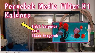 Cara membuat Media Filter K1 Kaldnes bergerak semua [upl. by Nuhsal]