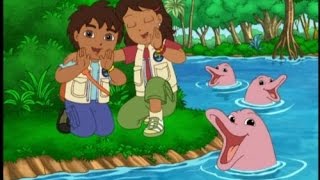 Go Diego Go  Diego Saves the River Dolphin [upl. by Garibald385]