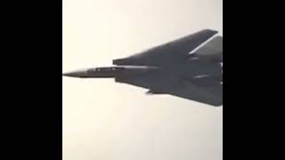 Stunning F14 Tomcat Flyby  WingSweep Transition Caught on Camera [upl. by Novah]