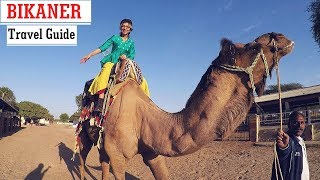 Bikaner  Rajasthan Travel Guide  Things to Do [upl. by Japheth]