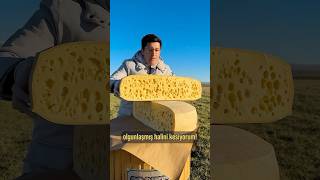 60 kglık Gravyer Peynirini Kestik 🧀 Peynere Karstan peynirinizi gönderir [upl. by Reggy666]