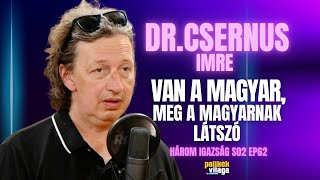 DR CSERNUS IMRE VAN A MAGYAR MEG A MAGYARNAK LÁTSZÓ  Három igazság  Palikék Világa by Manna [upl. by Akitan]