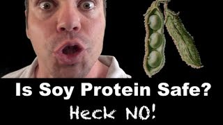 Is SOY Protein Safe For Men  Heck No [upl. by Nancee120]