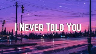 Colbie Caillat  I Never Told You Lyrics [upl. by Hayton319]