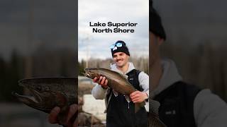 rainbowtrout fishing lakesuperior northshore [upl. by Anahsak]