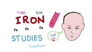 Iron Studies  Serum Fe TIBC ferritin amp Transferrin  Saturation [upl. by Ardnassak]