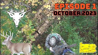 2023 Early PA deer season on public land  Self Filmed  Big bucks [upl. by Noslen221]