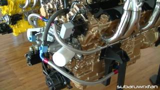 1100 HP Lamborghini V12 [upl. by Terence]