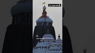 Eka eka batoi mu na thila mo thikana 🙏🏻 jayjagannath [upl. by Noryak]