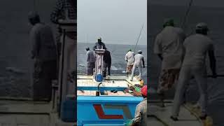 fishing fish icar lakshdweep KVK LAKSHDWEEP ICAR  CMFRI [upl. by Hough]