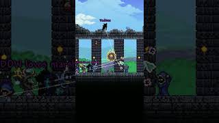 Terraria Lunatic Cultist Encounter  BushBaby29 [upl. by Ayanahs]