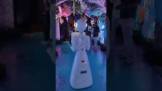 robot photo booth for wedding party [upl. by Erle]