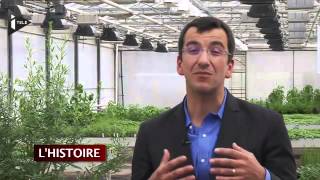 La success story Darégal dans Ambitions dentrepreneurs sur i télé [upl. by Haelhsa]