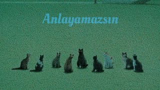 Seksendört  Anlayamazsın cover [upl. by Auguste]