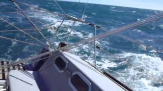 singlehanded sailing in front of the Strait of Magellan wind Force 78 reefed genoa and main sail [upl. by Winslow]