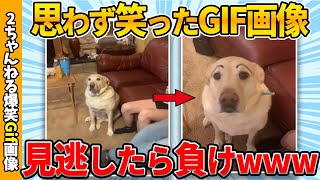 【おもしろgif総集編】思わず吹いた爆笑gif画像集ww 【コメ付き】【ゆっくり解説】【2chスレ】【5ch】 [upl. by Ardnuahs]