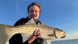 STRIPED BASS FEEDING FRENZY 2024 NJ FALL RUN [upl. by Inoy120]