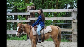 Horse Starting Audrey and Twinkle 3rd ride [upl. by Aramois31]