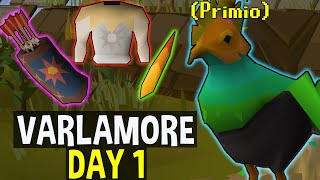 A Day 1 Look Around the New Kingdom of Varlamore OSRS [upl. by Fougere]