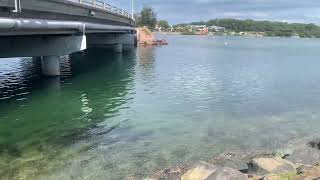 Merimbula fishing off the bridge [upl. by Lerred]