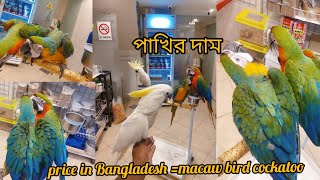 কাকাতুয়া পাখির দাম কত  Cockatoo Bird Price In Bangladesh and India  Kakatua Pakhir Dam❤️ [upl. by Karlens]