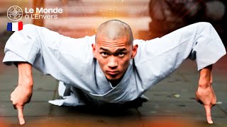 Quel est le secret de la force étonnante des moines du monastère de Shaolin  Le Monde à LEnvers [upl. by Ehud]