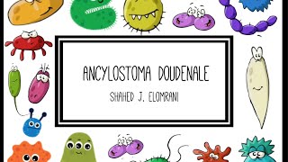 Ancylostoma Duodenale [upl. by Sparrow]